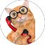 old Office Avatar